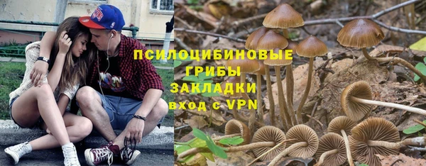 метамфетамин Алексеевка